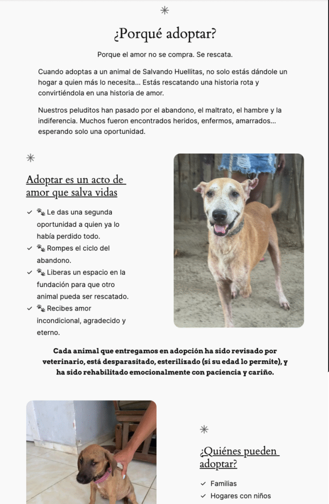 imagen de salvando huellitas fundacion